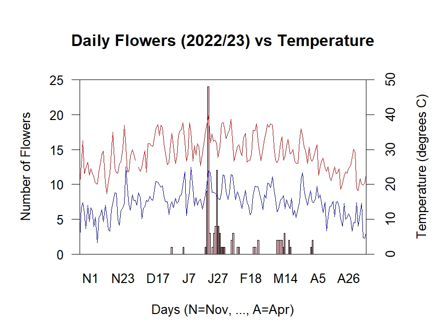 Flowers vs Temperature 2022/23